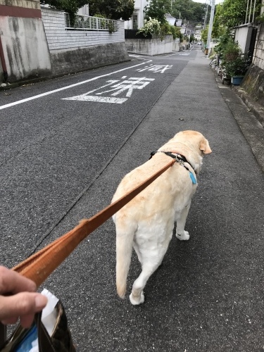 f0315081_22100873.jpeg