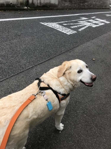 f0315081_22102561.jpeg