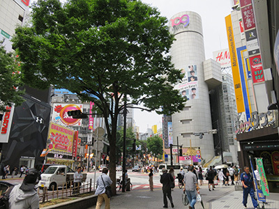 b0056983_15483618.jpg