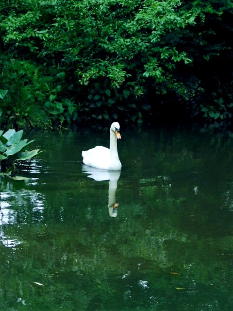 c0084183_120831.jpg