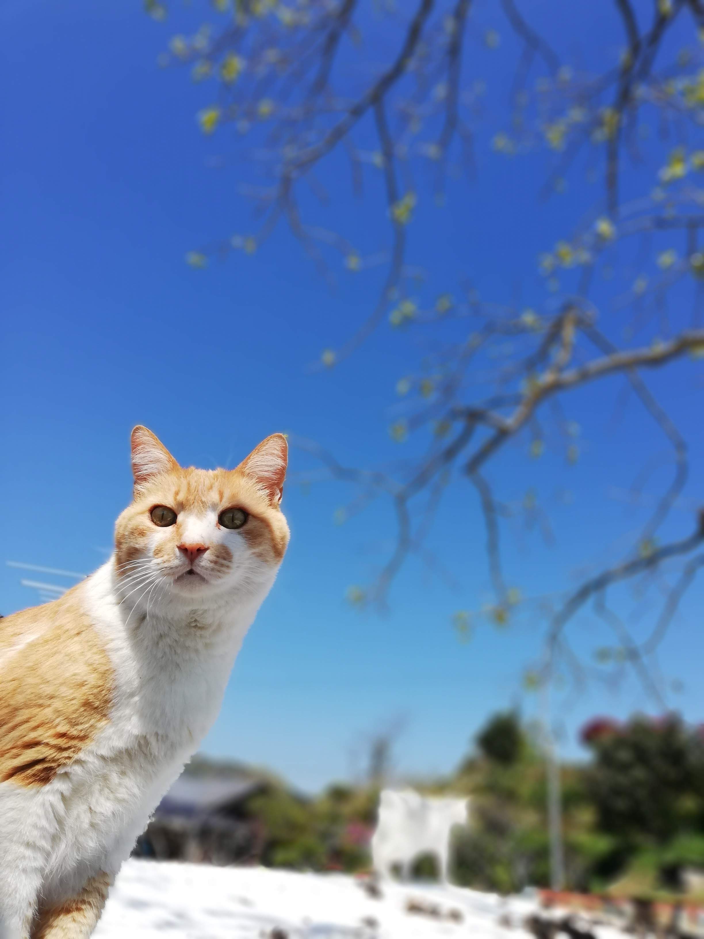 ハコ_d0195183_00465159.jpg