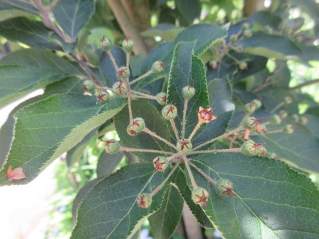 a0203003_21432935.jpg