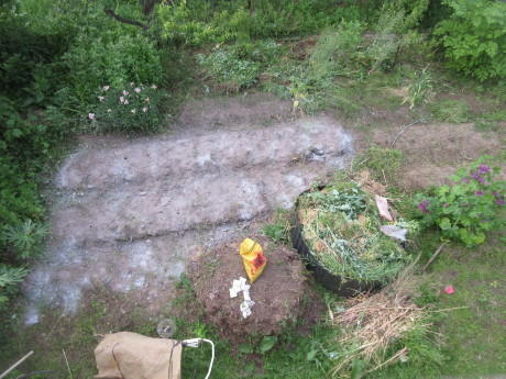a0203003_21444666.jpg