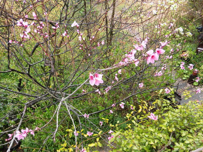 c0156104_22015212.jpg