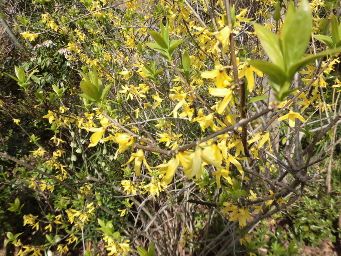 c0156104_22022509.jpg