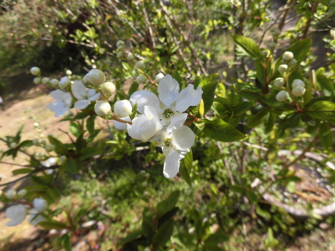 c0156104_22024061.jpg
