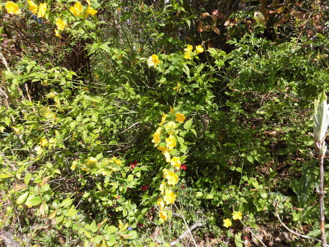 c0156104_22040712.jpg