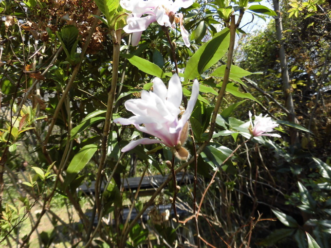 c0156104_22062563.jpg