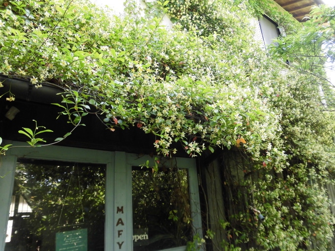 c0156104_22133110.jpg