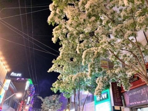 a0140305_03170261.jpg
