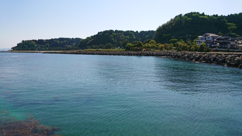 d0359010_21382790.jpg