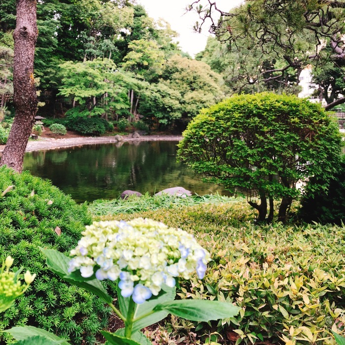 戸越公園&文庫の森_d0138811_06310491.jpeg