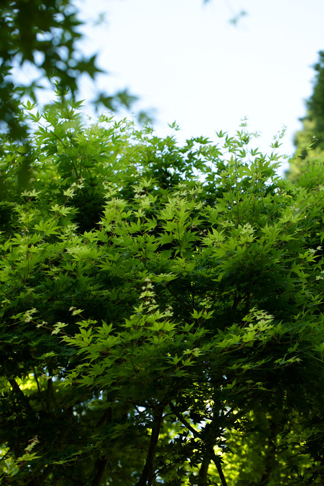 d0011713_09040450.jpg
