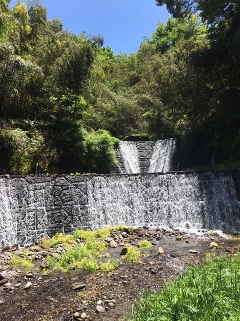 c0114121_00122224.jpeg