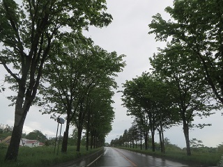 大雨から晴れになり_b0405523_13104958.jpg