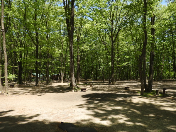 b0174425_15202472.jpg