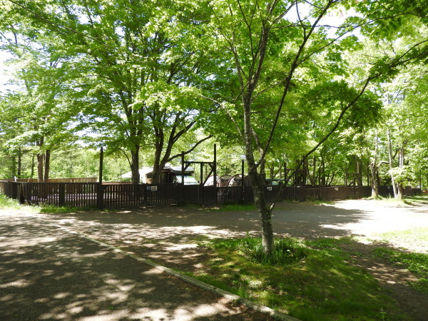 b0174425_16081901.jpg