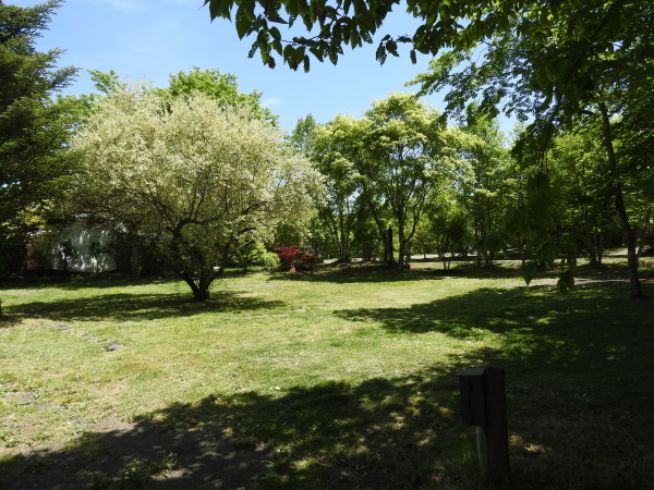 b0174425_16084973.jpg