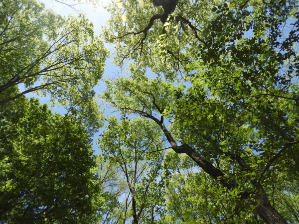 b0174425_17110922.jpg