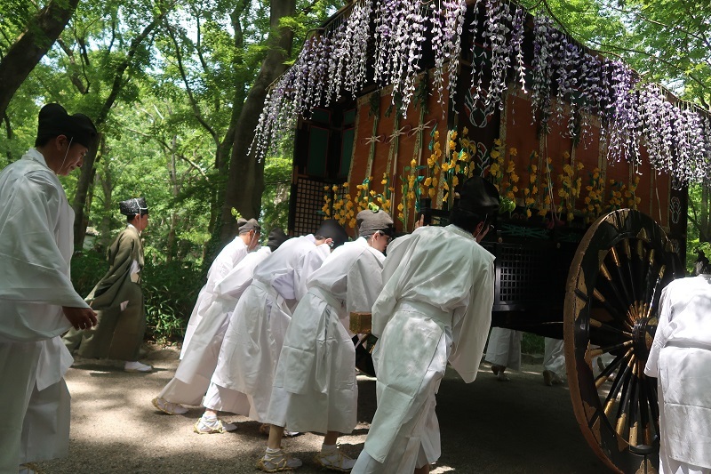 葵祭とラリー_f0076731_07230489.jpg