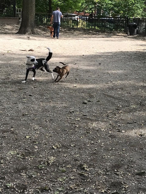 d0269832_22132700.jpeg