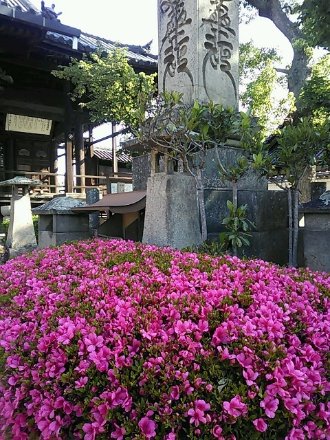 旧友の笑顔_b0007835_09223914.jpg