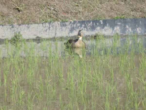 a0054240_21324122.jpg