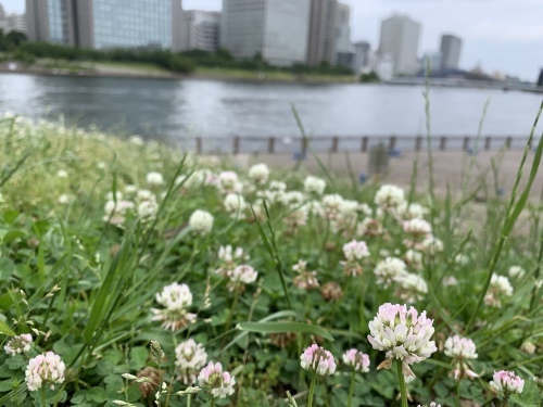 b0330040_03430376.jpeg