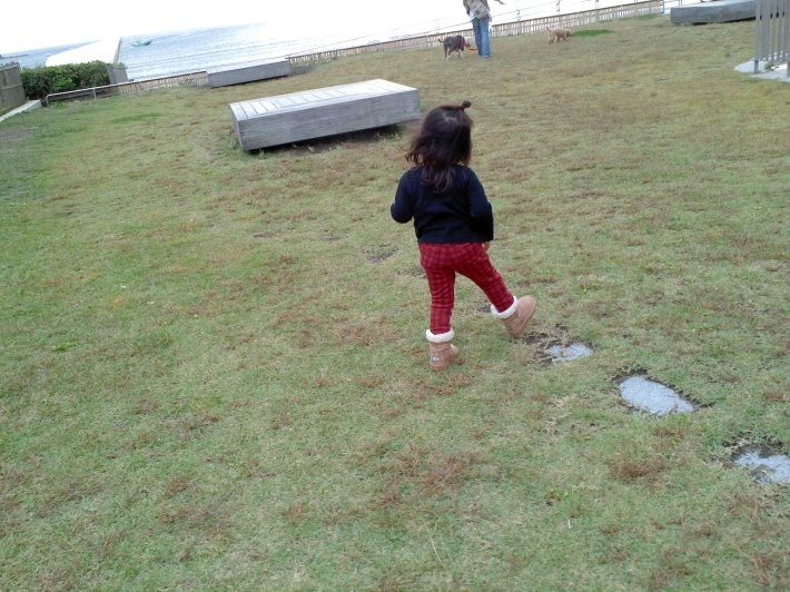 大きくなったね!はあちゃん☆_c0152341_08432005.jpg