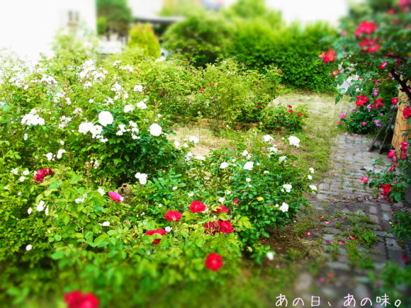 a0305046_09314443.jpg