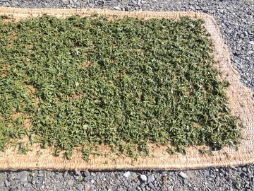 a0054948_08553690.jpg