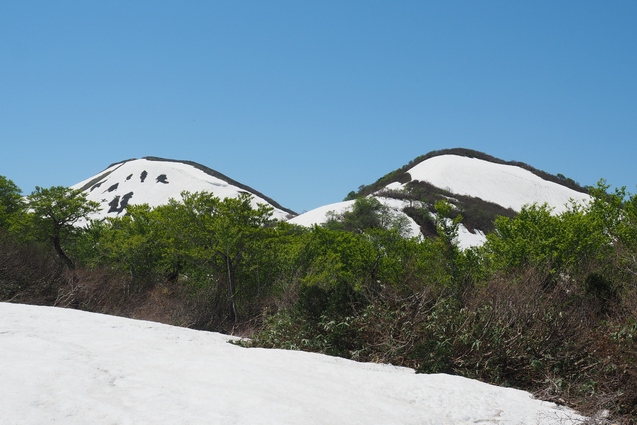 2019/5/25~26 竜門山(日暮沢からピストン)_b0189948_20171145.jpg