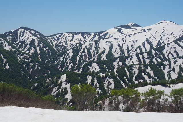 2019/5/25~26 竜門山(日暮沢からピストン)_b0189948_20172451.jpg
