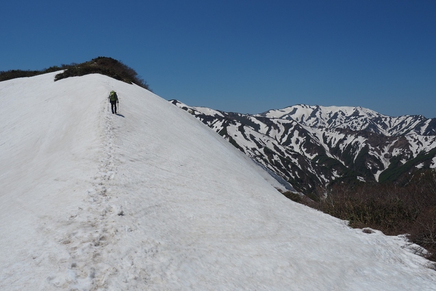 2019/5/25~26 竜門山(日暮沢からピストン)_b0189948_20214268.jpg