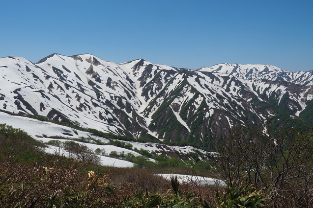 2019/5/25~26 竜門山(日暮沢からピストン)_b0189948_2022131.jpg