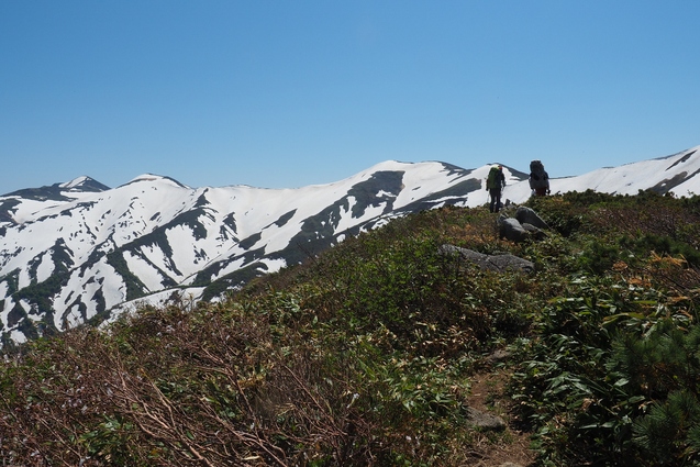 2019/5/25~26 竜門山(日暮沢からピストン)_b0189948_2023429.jpg