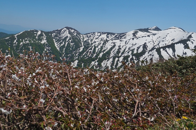 2019/5/25~26 竜門山(日暮沢からピストン)_b0189948_20302880.jpg