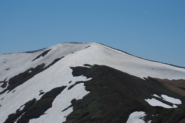 2019/5/25~26 竜門山(日暮沢からピストン)_b0189948_20305615.jpg