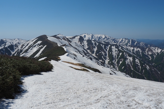 2019/5/25~26 竜門山(日暮沢からピストン)_b0189948_20324325.jpg