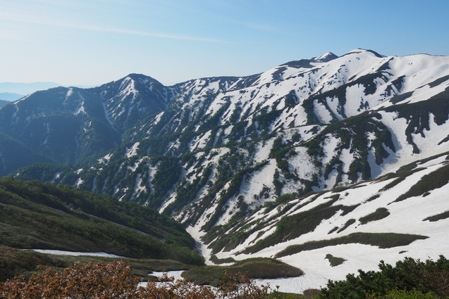2019/5/25~26 竜門山(日暮沢からピストン)_b0189948_20402017.jpg