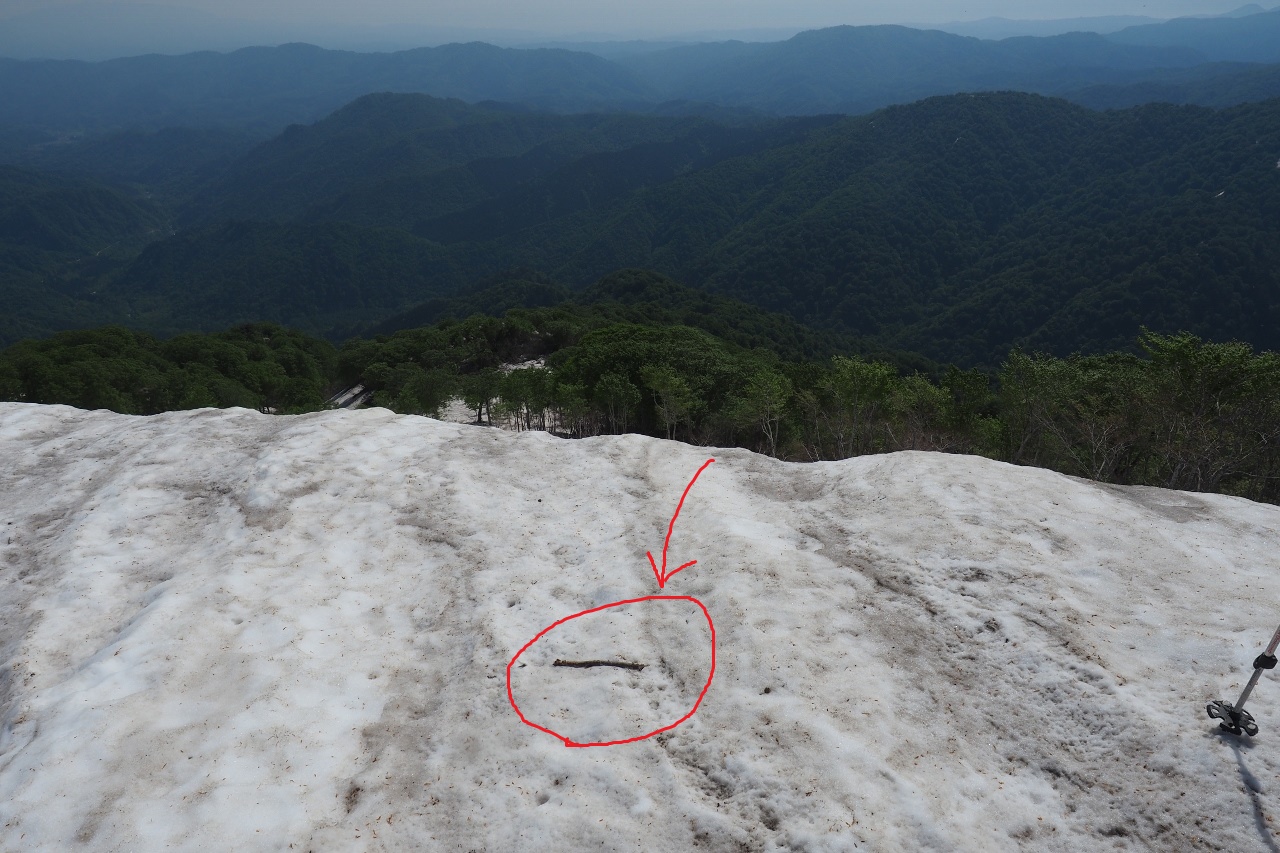 2019/5/25~26 竜門山(日暮沢からピストン)_b0189948_204158100.jpg