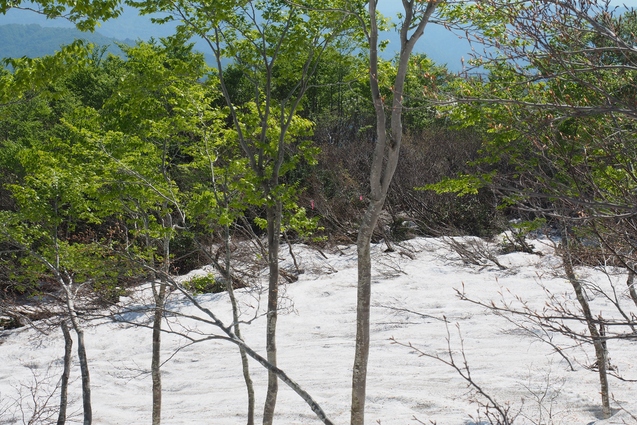 2019/5/25~26 竜門山(日暮沢からピストン)_b0189948_20425838.jpg