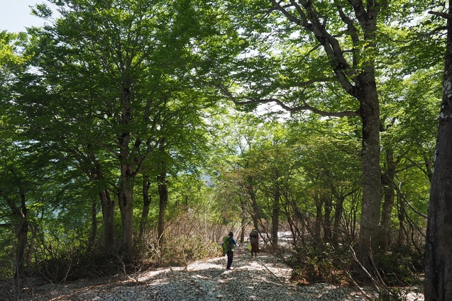 2019/5/25~26 竜門山(日暮沢からピストン)_b0189948_20471491.jpg