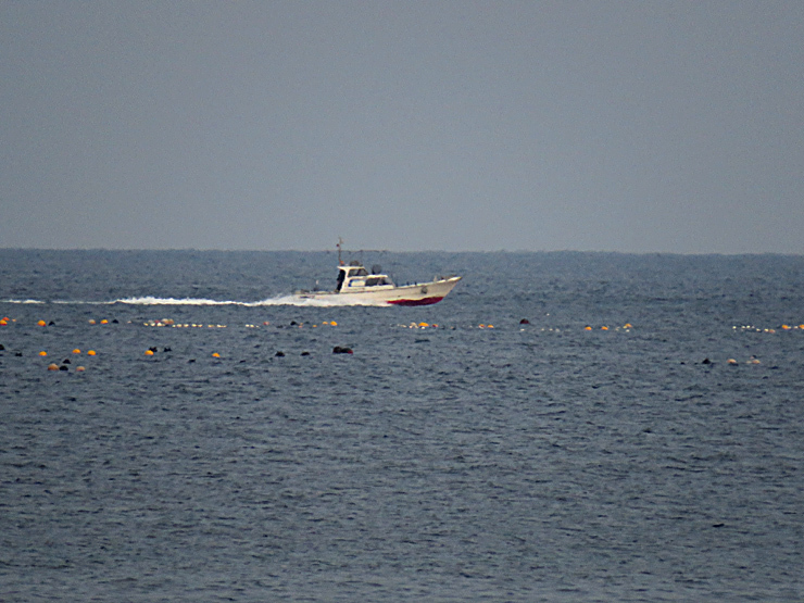 f0214649_03253427.jpg