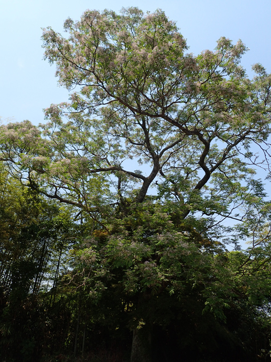 f0214649_16562950.jpg