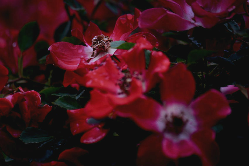 omoi_a0271251_20292054.jpg
