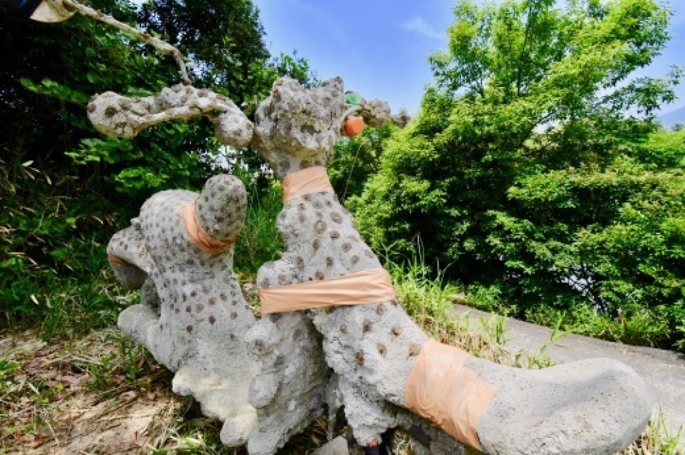 アートでたんぼ2019 レポ 香川_b0242956_08063529.jpeg