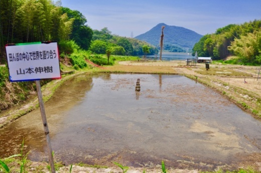 アートでたんぼ2019 レポ 香川_b0242956_09034540.jpeg