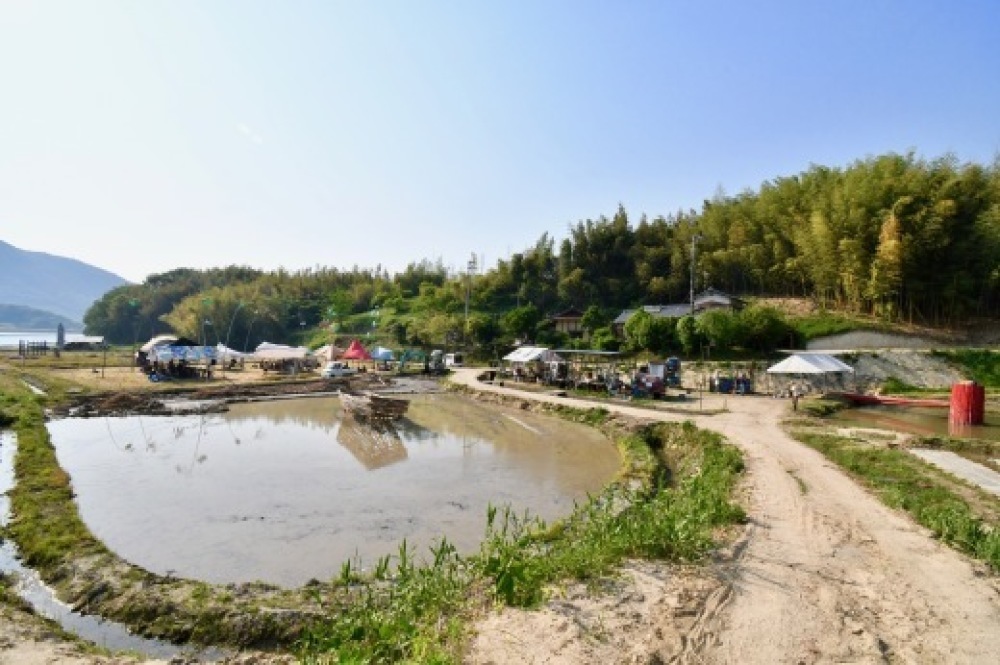 アートでたんぼ2019 レポ 香川_b0242956_09211870.jpeg