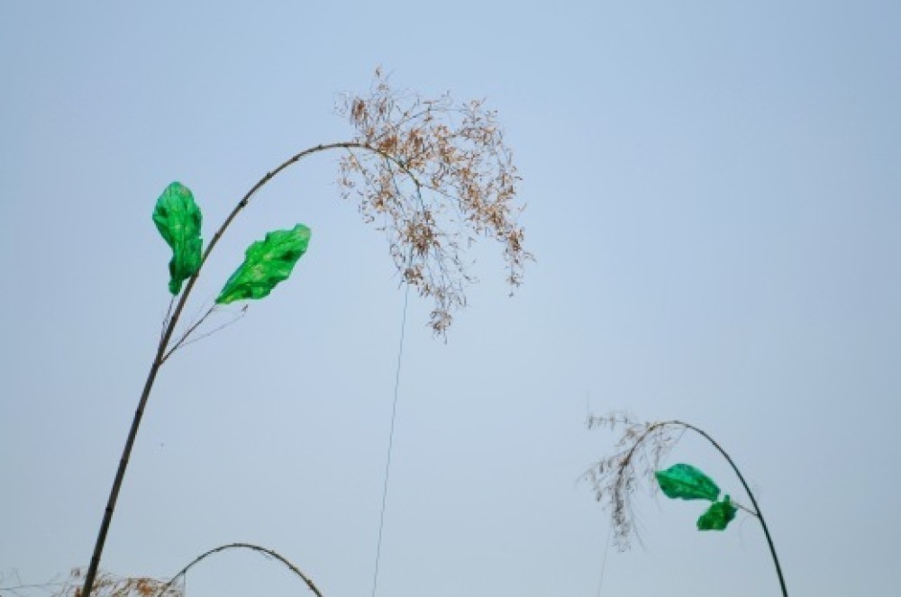 アートでたんぼ2019 レポ 香川_b0242956_09270347.jpeg